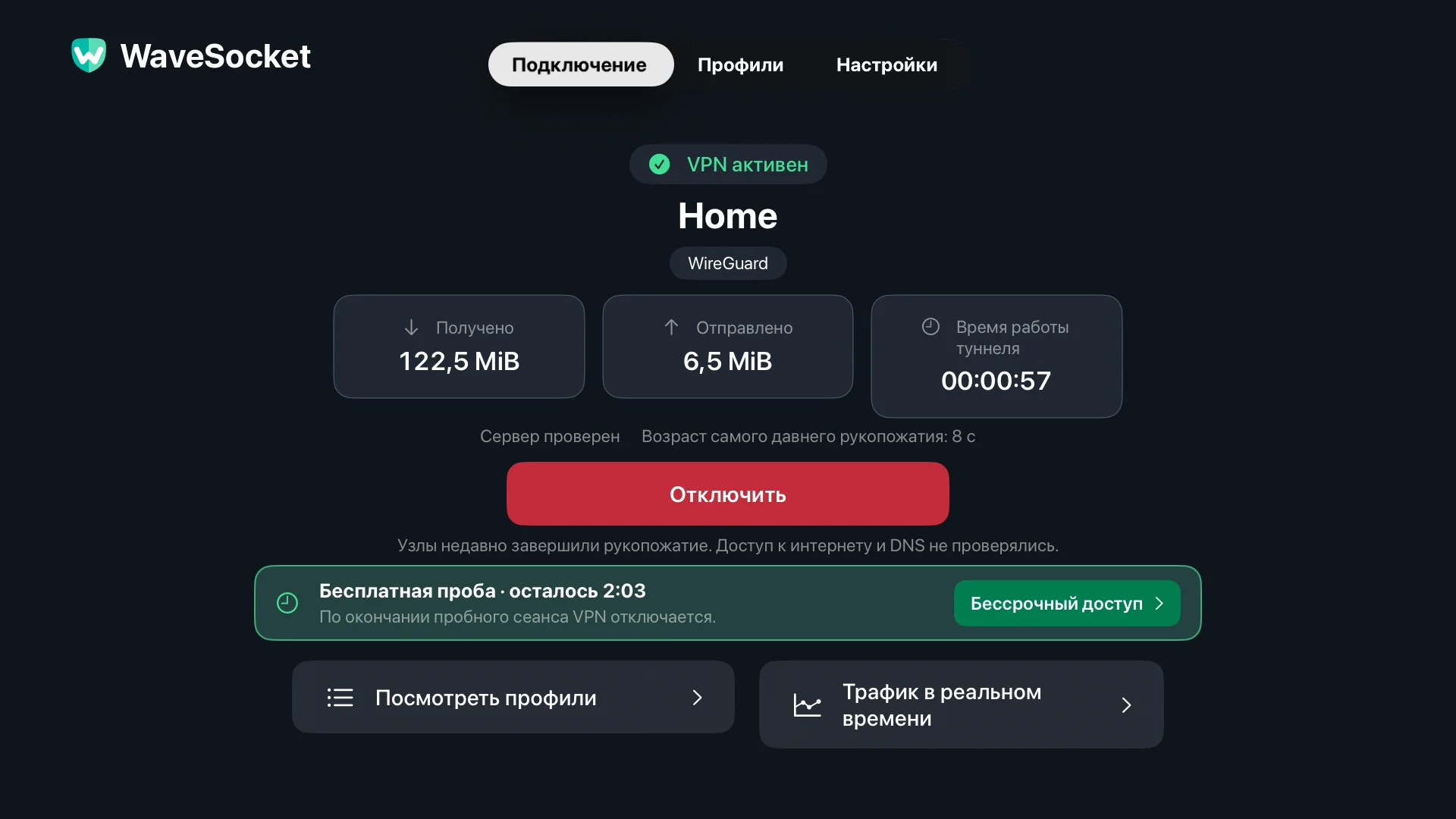 Экран подключения WaveSocket: домашний профиль, статус VPN, проверка однорангового узла, общий объём переданных данных и отключение.