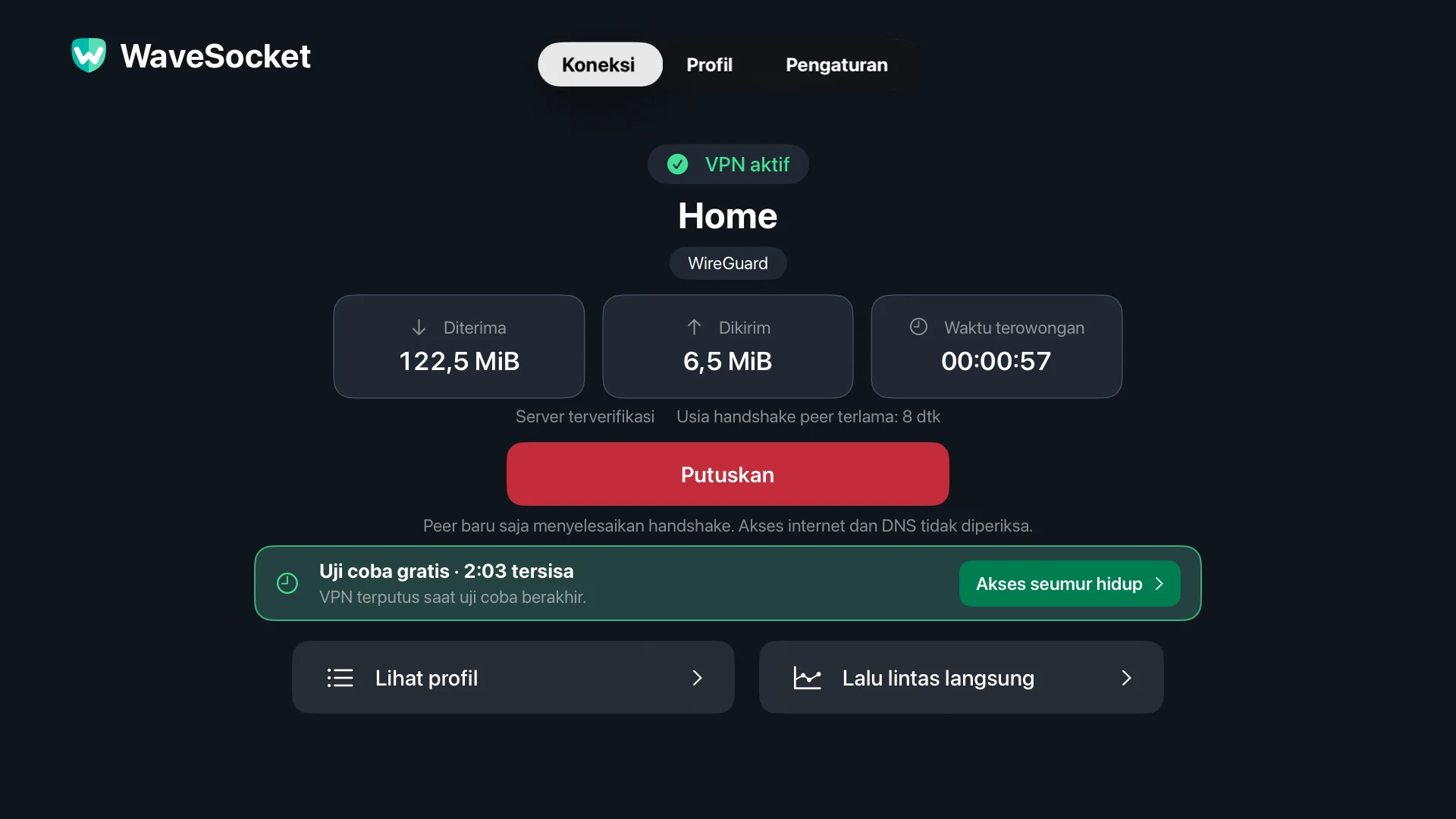 Layar Koneksi WaveSocket: Profil beranda, status VPN, verifikasi rekan, total transfer dan Putus.